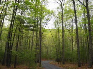 276 Into The Woods Rd, Millboro, VA 24460