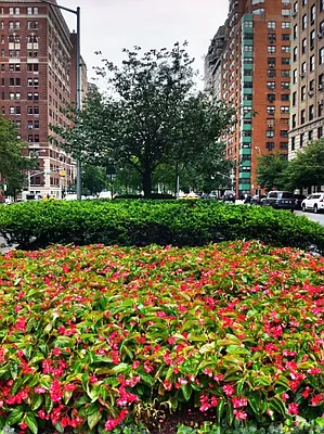 Rented by Citi Habitats | media 40