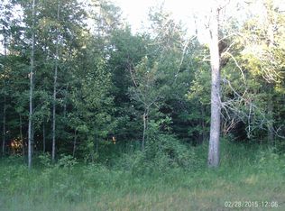 101 N Ridge Rd, Black River, MI 48721