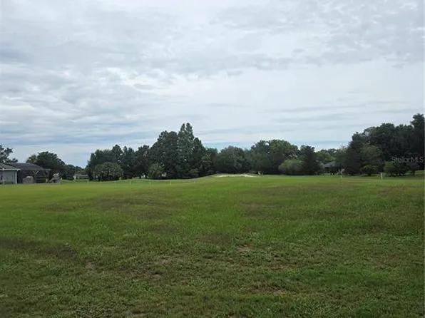 517 DOWLING CIRCLE LOT 10, LADY LAKE, FL 32159