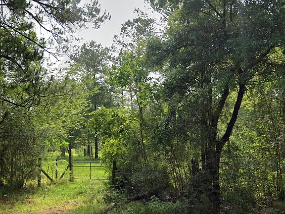 5th image of 0 Jack Williams Rd Lot 35