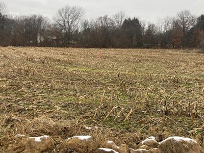 0 N Meadow Ln, New Carlisle, IN, 46552