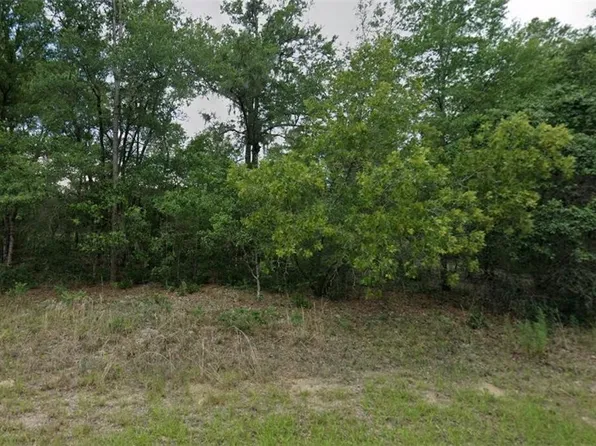 11230 N Terra Cotta Dr, Citrus Springs, FL 34434