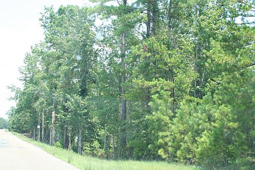 Nero's Rock - Eclectic, AL