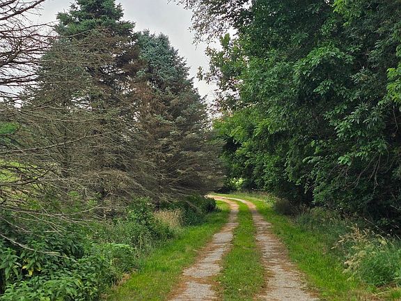 3rd image of 4187 39 County Rd