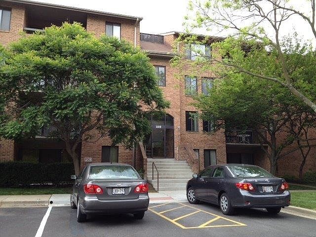 Garden apt in urban setting - walk everywhere