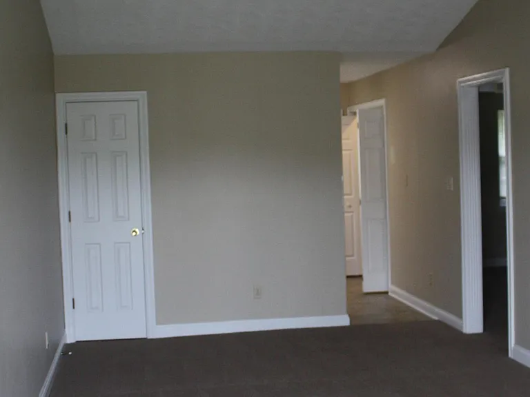 Living room/vaulted ceiling