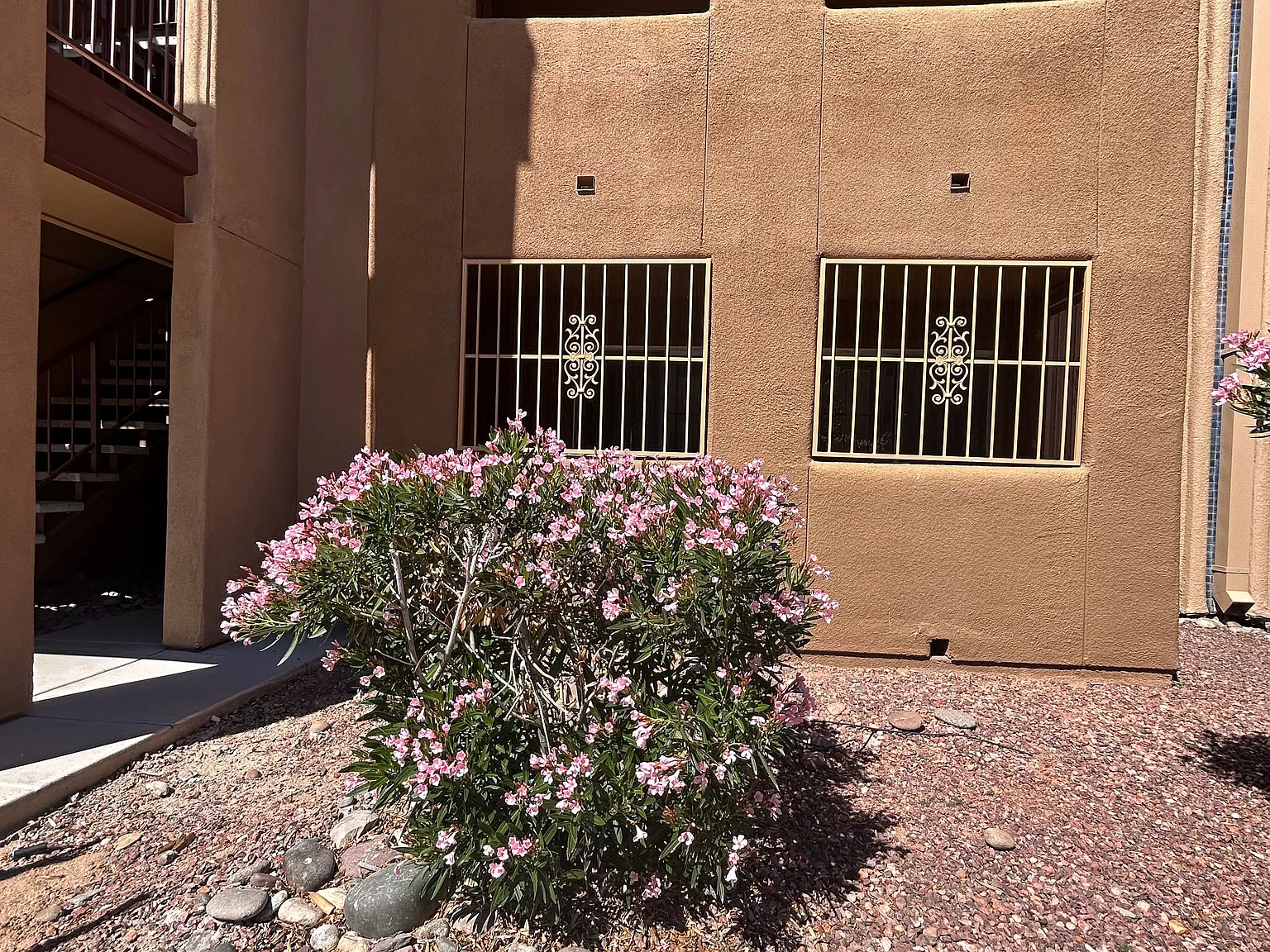 1 bed, 475 sqft, $925 — Photo 3