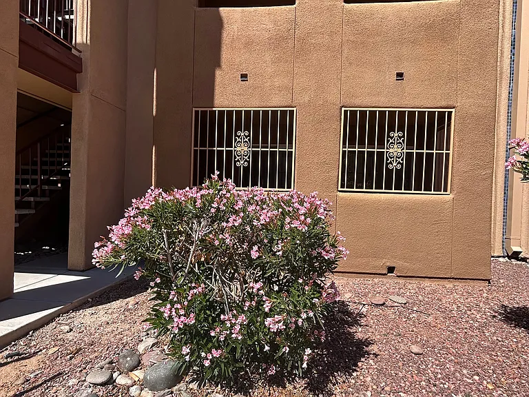 1810 E Blacklidge Dr #204 — Photo 3
