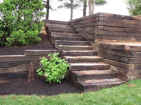 Back yard landscaping