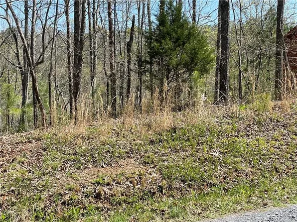 1672 Hunter Dr, Ranger, GA 30734