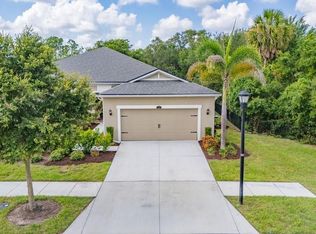 11505 CAMBIUM CROWN DRIVE, RIVERVIEW, FL 33569