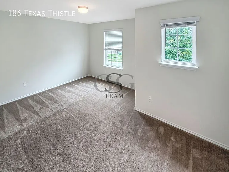 186 Texas Thistle — Photo 42