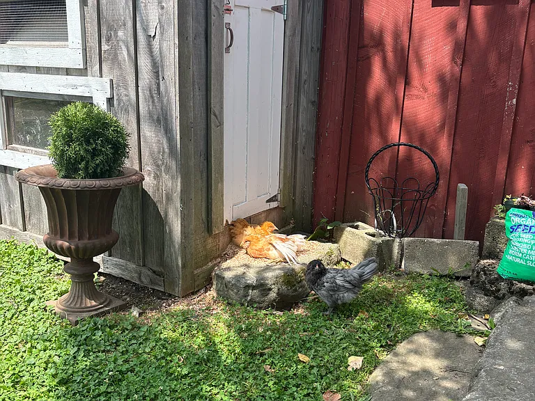 1049 Upper Church St — Photo 37