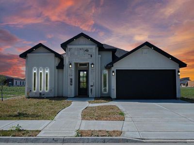 2413 N Venice Ave, Edinburg, TX, 78542