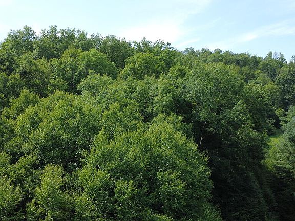 2nd image of 0 Fox Hollow Rd