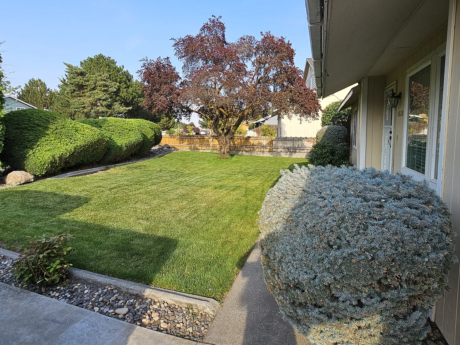 3 bed, 1012 sqft, $1,875 — Photo 2