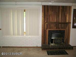 Family room fireplace close up
