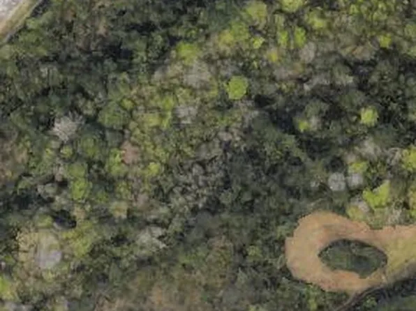 0 Walker Rd, Ocean Springs, MS 39564