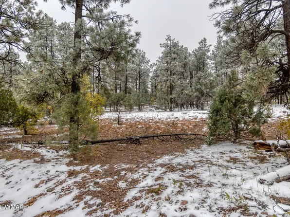 4383 S 24th St, Show Low, AZ 85901