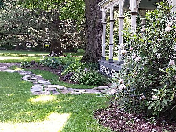 The appeal of the front!