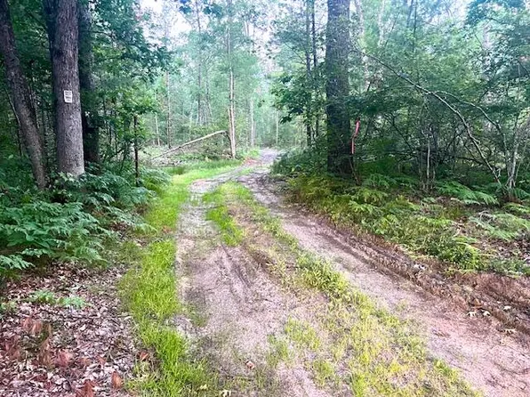 0 Skeels Rd, Montague, MI 49437