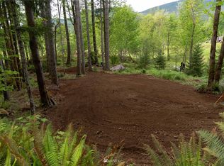 331 Rocky Brook Rd, Brinnon, WA 98320