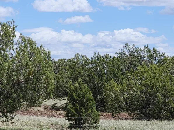 12C Juniperwood Rnch, Ash Fork, AZ 86320