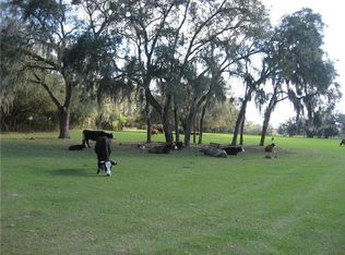 1000 County Road 416n, Lake Panasoffkee, FL 33538