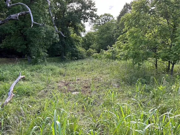 0 Ann Dr, Bonne Terre, MO 63628