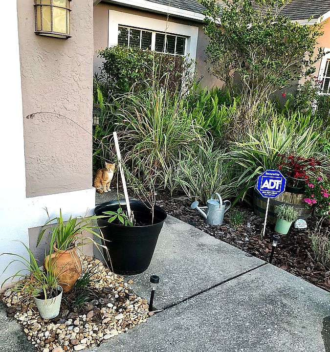 1st image of 805 W Gaucho Cir