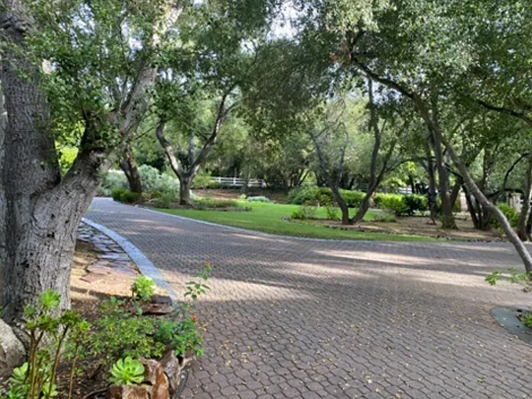 45455 Lorenz Ln — Photo 6