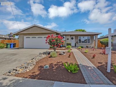 6476 Marguerite Dr, Newark, CA, 94560