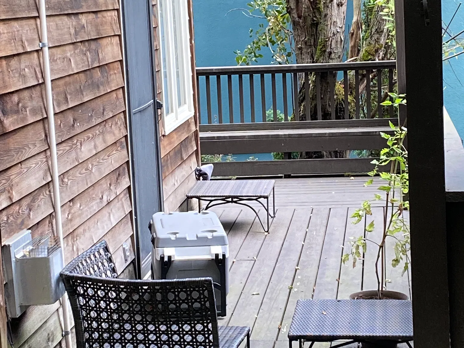 1 bed, 650 sqft, $1,650 — Photo 2