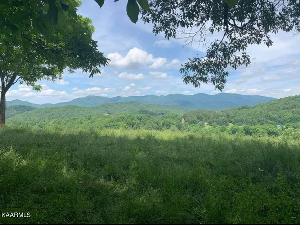 Wolf Creek Rd, Del Rio, TN 37727