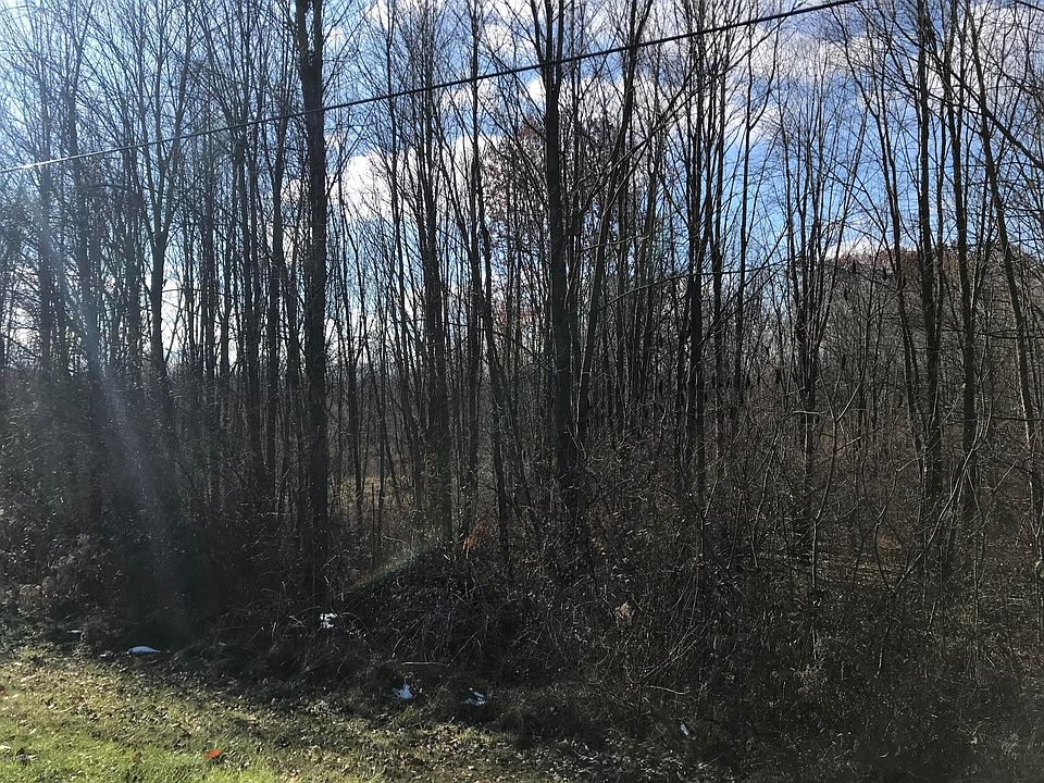 2nd image of Springhill Dr