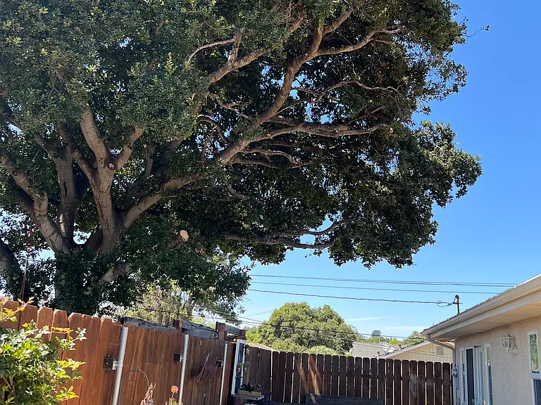272 Walnut St — Photo 18