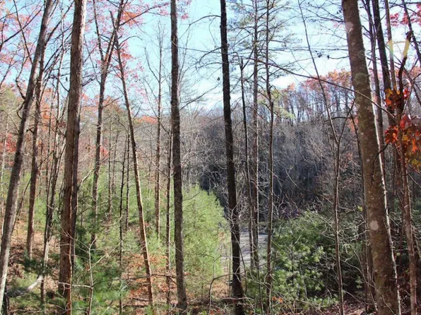 Cool Water Ln, Sevierville, TN 37862