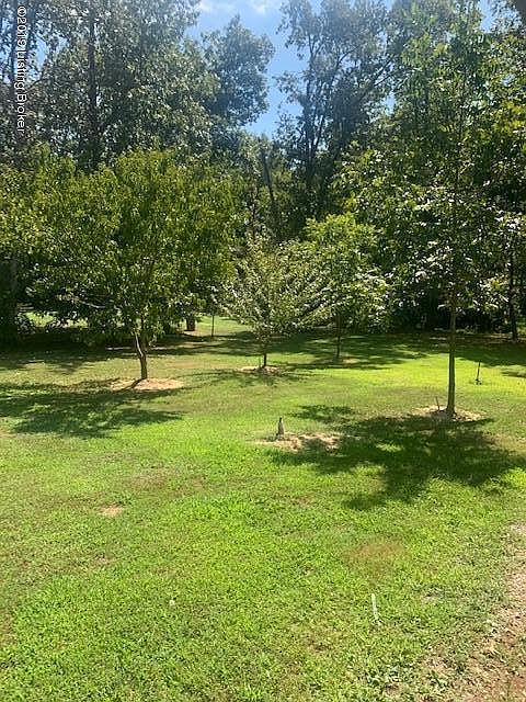 2nd image of 193 Raintree Dr