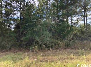 Tbd Francis Marion Dr, Georgetown, SC 29440