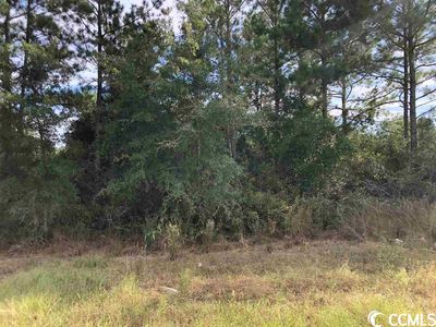 TBD Francis Marion Dr., Georgetown, SC, 29440
