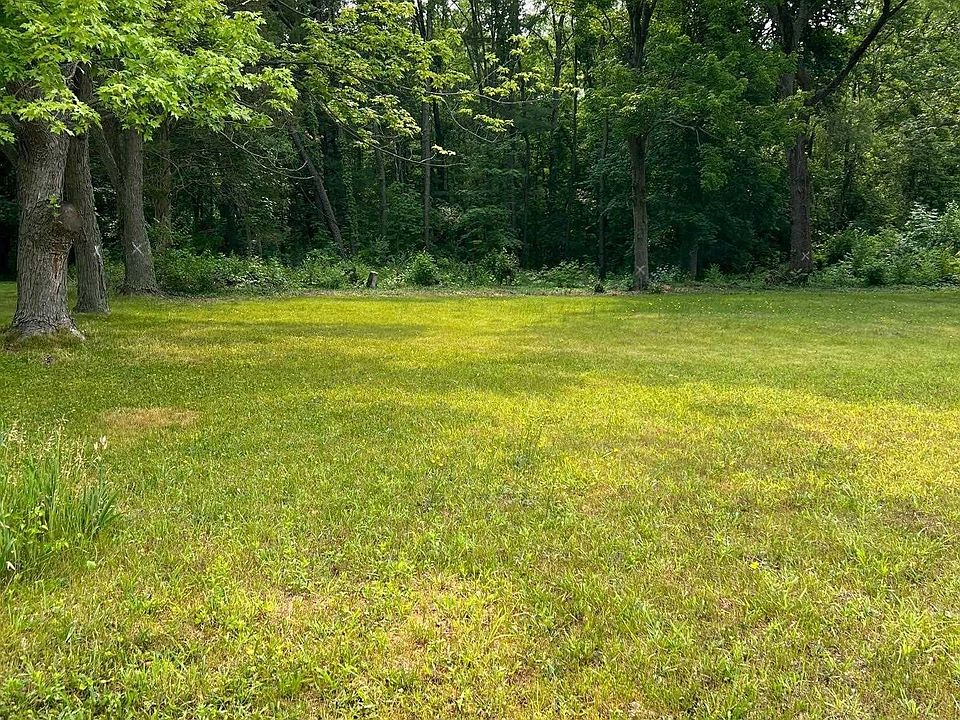 1st image of Burr Oak