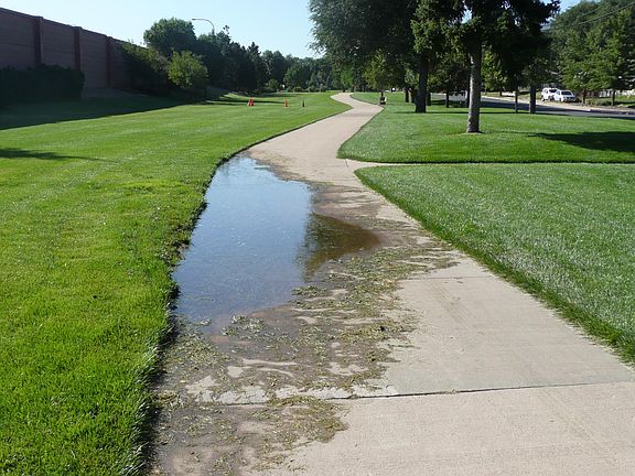 trail across the street for house