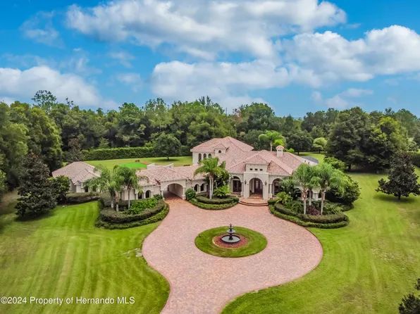 1450 Virginia Lee Cir, Brooksville, FL 34602