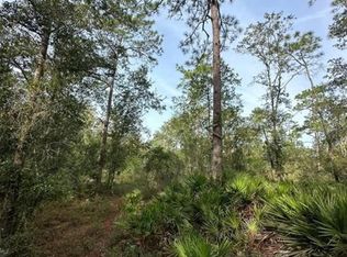 SW 155th St, Dunnellon, FL 34432