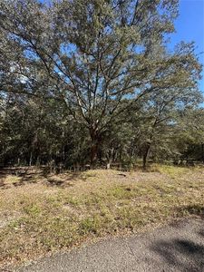 10615 N Didiscus Dr #12, Dunnellon, FL, 34434