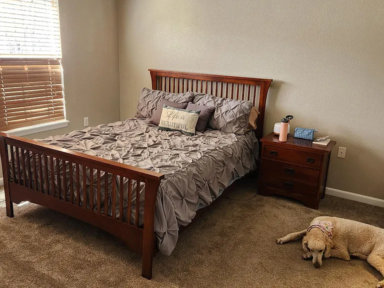 1493 Red Peak Dr — Photo 17