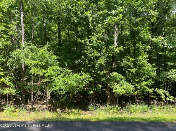 47 Tanglewood Ct, Dadeville, AL 36853