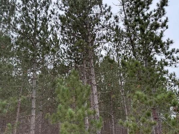 Swamp Lake Rd #4069-14, Tomahawk, WI 54487