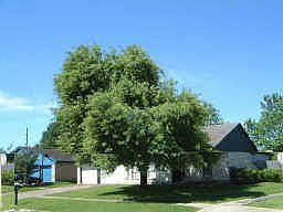 1st image of 11315 Bonaparte Dr
